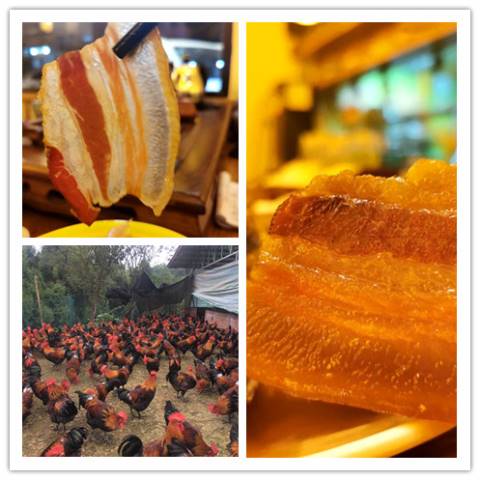 舒回锅——舒氏汉蒸回锅肉